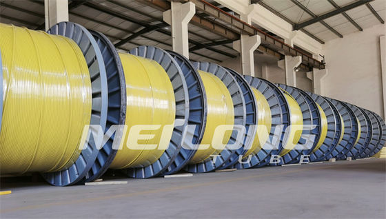 UNS S32750 ha incapsulato la linea di controllo nylon eccellente di Rilsan del duplex 2507
