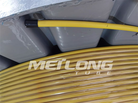 PVDF ha incapsulato la linea di controllo tubatura capillare di acciaio inossidabile del duplex