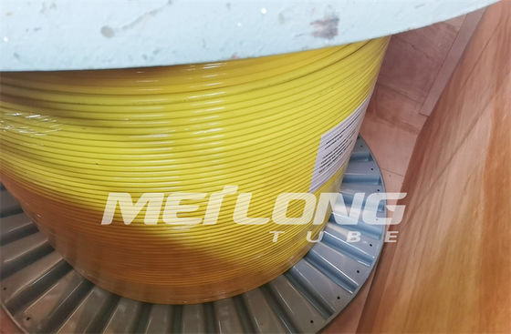 UNS S32750 ha incapsulato la linea di controllo nylon eccellente di Rilsan del duplex 2507