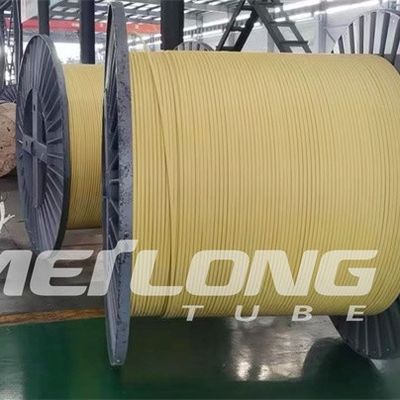 TP316L PVDF ha incapsulato la linea di controllo Flatpack con un'alta pressione di due tubi