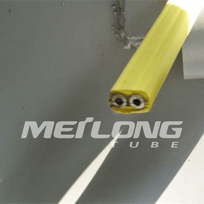 TP316L PVDF ha incapsulato la linea di controllo Flatpack con un'alta pressione di due tubi