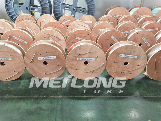 Linea di controllo luminosa pulita linea di controllo incapsulata ss della tubatura idrostatico provato
