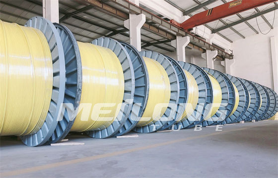 PVDF 12000M Encapsulated Control Line intorno a tubatura arrotolata capillare rettangolare