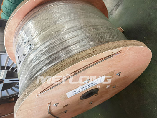 316L ha incapsulato il conduttore incapsulato tubatura For Down Hole del cavo