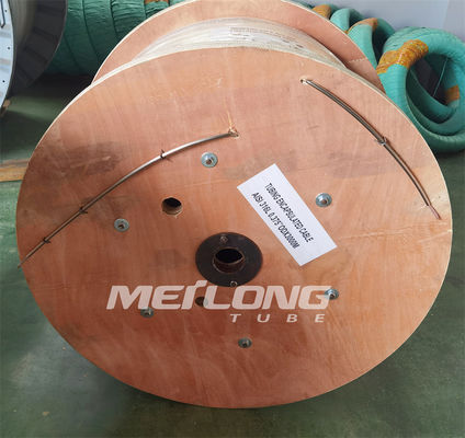 316L ha incapsulato il conduttore incapsulato tubatura For Down Hole del cavo