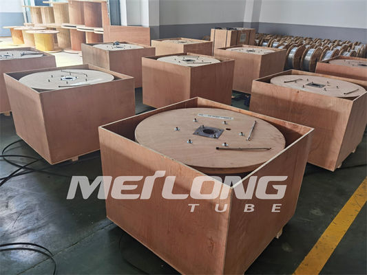 Linea chimica temprata linea dell'iniezione di acciaio inossidabile di controllo capillare